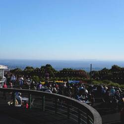 Nächster Stopp Mount Dandenong Skyhigh View (633 m üNN) mit Blick auf Melbourne.