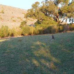 Voilà, unsere erste Sichtung!