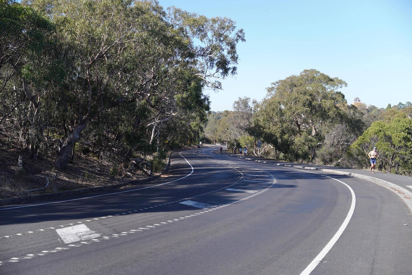 Erste Station: der Flying Fox Trail View, ...