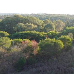 Dort unterhalb des Staudammes soll es sie geben.