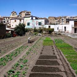 In centro di Palermo: .."riprendiamoci la terra.."