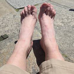 These puppies carried me over 600km!