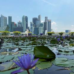 Das Ergebnis 👍👍