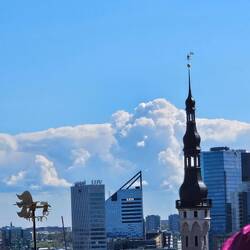"Thomas" wacht über die Stadt und ebenso der Wetterdrache