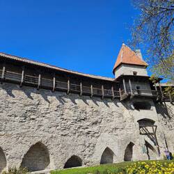 Sradtmaueransicht im "Garten des dänischen Königs".