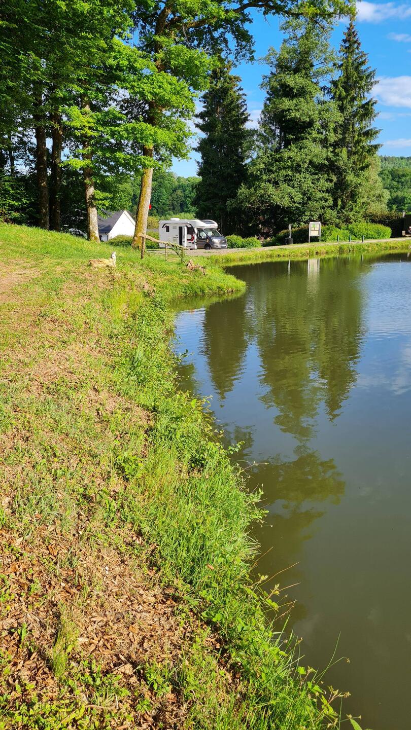 Scheint ein ruhiger Platz heuer zu sein