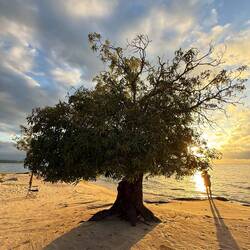 ...Sonnenaufgang über'm See...