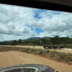 ...fertige Strecken werden bereits von Kühen, Ziegen und Menschen benutzt. Keine Autos!