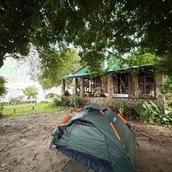 ...die Flame Tree Lodge... ...in ihrer Blüte eine Pracht... ...jetzt leider sehr verwelkt...