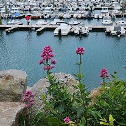 Und über den Hafen zurück zum WoMo