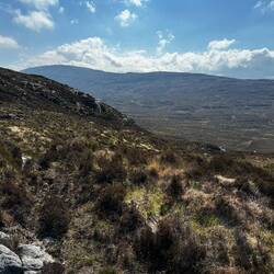 Der "Weg". Seht ihr auch so gut wie wir wo es lang geht?