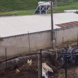 parkiert heute Abend im Hühnergatter😏😇🤣