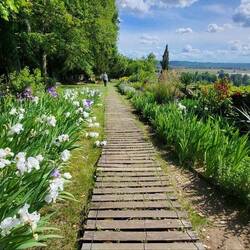 Ein schöner Schlosspark.