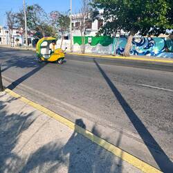 Un taxi coco