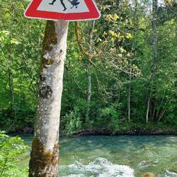 Die "Gänseliesel" im neuen Gewand.