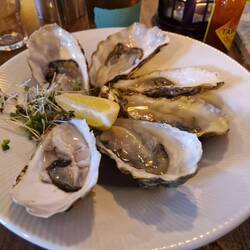 Nachtessen Vorspeise