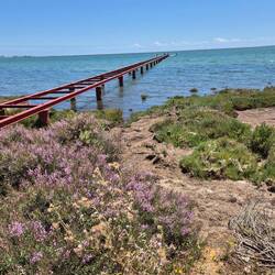 Steg ohne Bretter🙅‍♂️