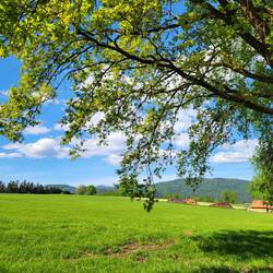Der Bayrische Wald ist eine Reise wert!