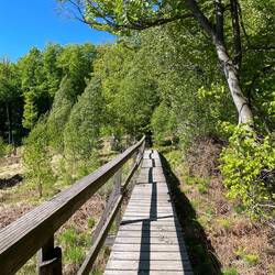 Hochmoor im Nationalpark