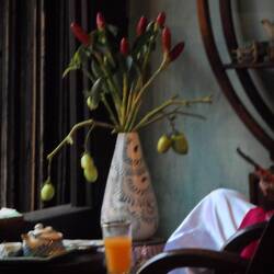 décor soigné au Reaching out