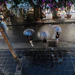 La pluie se fait plus drue.