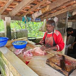 Poulet tué et dépecé sur place