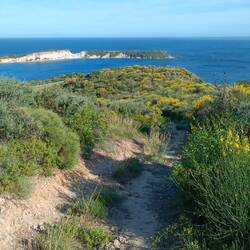 Einfacher Weg nach oben...