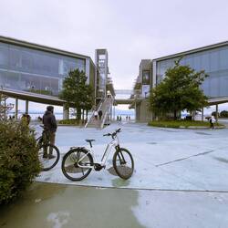Centro Botín, Zentrum für Kunst, Kultur und die Aktivitäten der Stiftung Botín