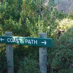 Zur Verdauung auf den Coast Path, ..