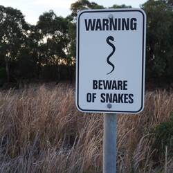 Die gab es hier nicht zu sehen, dafür...