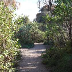 ein Fußweg entlang der Steilküste...