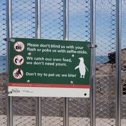 leider nicht für die Pinguine, ...