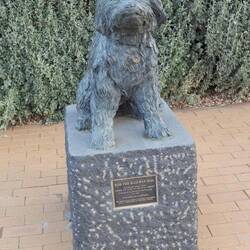 This is Bob the railway dog. Read about him next pic.