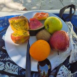 Mittagessen am Strand