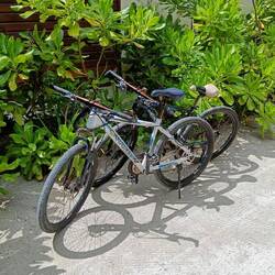Es gibt nur Mountainbikes in mehr oder minder guten Zustand