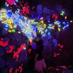 Les papillons que tata et tonton ont vu à Okinawa