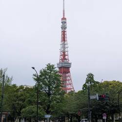 Tokyo tower 🗼