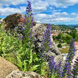 This photo was taken halfway up the volcanic spire
