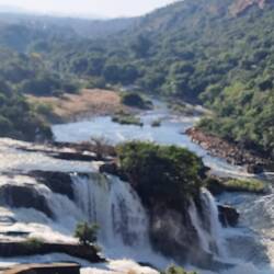 Am Hartbeespoort Dame