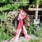 Not all dead birds get their own memorial.