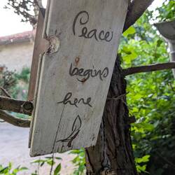 Signs everywhere to remind you of mindfullness