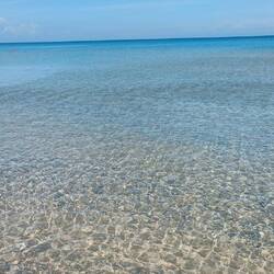 Fast glasklares Wasser.