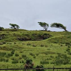 Wie ist die allgemeine Windrichtung?