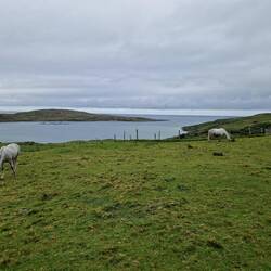 Blick vom Schloss auf den Atlantik