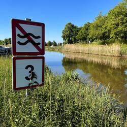 Freizeitanleger Harskirchen hinter Bissert