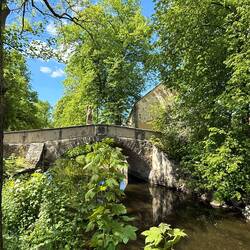Alte Schwedenbrücke Drobriv