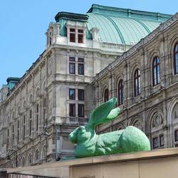 The Green Rabbit!