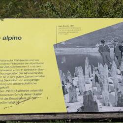 Infos zum Pfahlbauten Museum