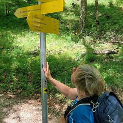 Hier trennen sich unsere Wege....