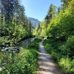 Immer schön am Weißbach entlang.
